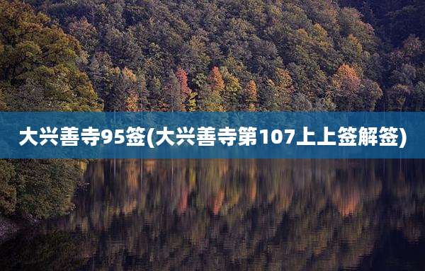 大兴善寺95签(大兴善寺第107上上签解签)