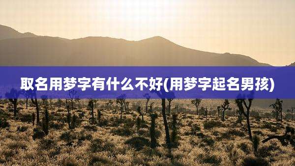 取名用梦字有什么不好(用梦字起名男孩)