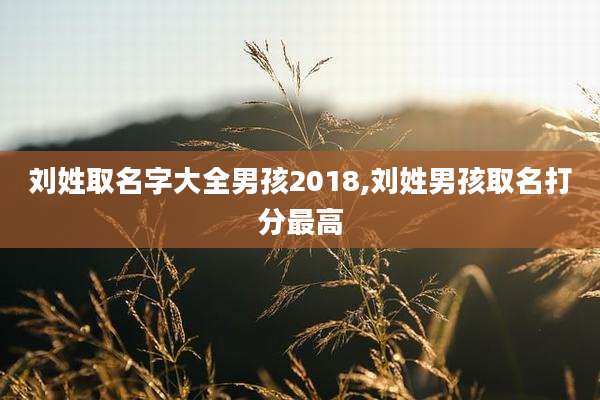 刘姓取名字大全男孩2018,刘姓男孩取名打分最高