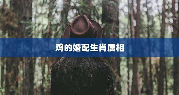 鸡的婚配生肖属相