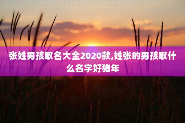 张姓男孩取名大全2020款,姓张的男孩取什么名字好猪年