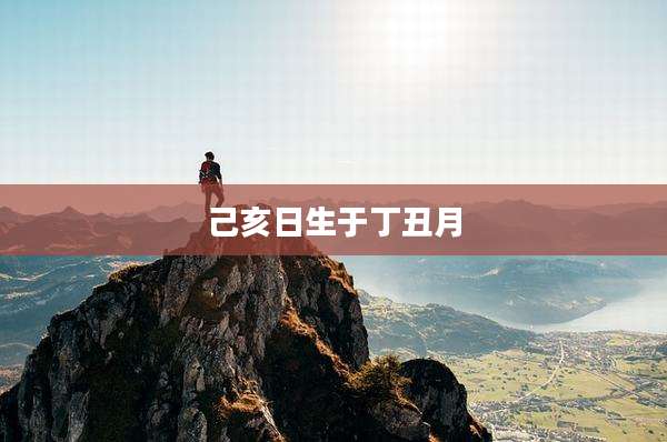 己亥日生于丁丑月