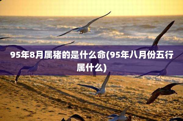 95年8月属猪的是什么命(95年八月份五行属什么)