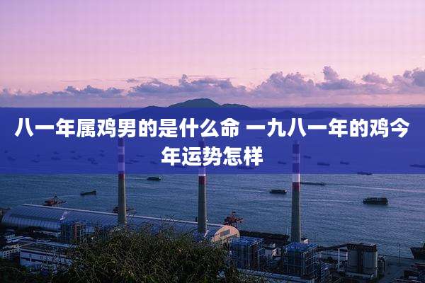 八一年属鸡男的是什么命 一九八一年的鸡今年运势怎样