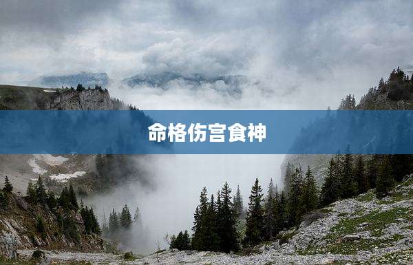 命格伤宫食神