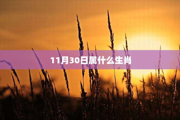 11月30日属什么生肖