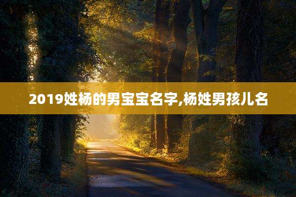 2019姓杨的男宝宝名字,杨姓男孩儿名