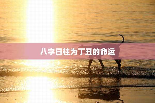 八字日柱为丁丑的命运