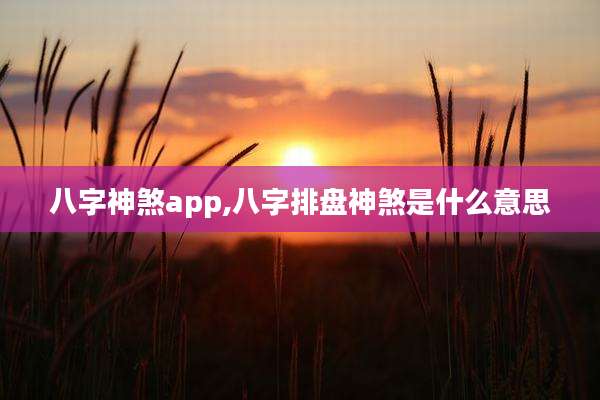 八字神煞app,八字排盘神煞是什么意思