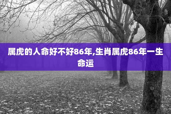 属虎的人命好不好86年,生肖属虎86年一生命运