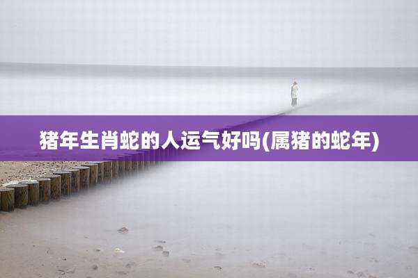 猪年生肖蛇的人运气好吗(属猪的蛇年)