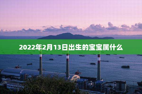2022年2月13日出生的宝宝属什么
