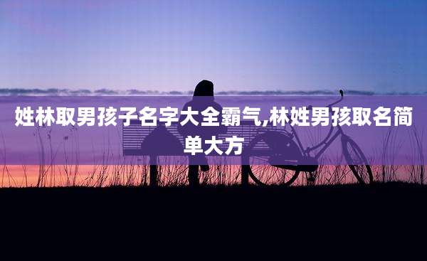 姓林取男孩子名字大全霸气,林姓男孩取名简单大方