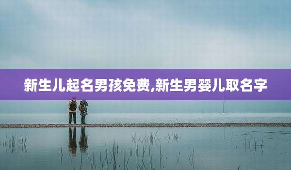 新生儿起名男孩免费,新生男婴儿取名字