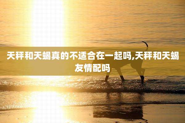 天秤和天蝎真的不适合在一起吗,天秤和天蝎友情配吗
