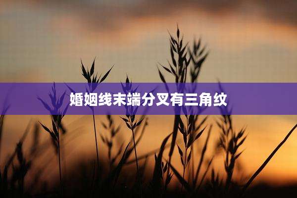 婚姻线末端分叉有三角纹