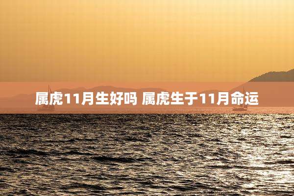 属虎11月生好吗 属虎生于11月命运