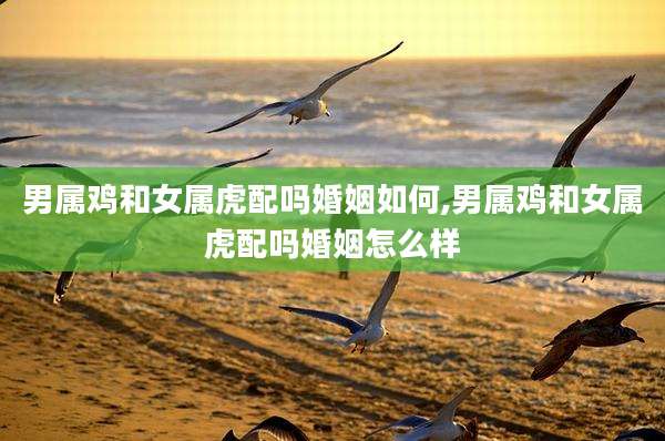 男属鸡和女属虎配吗婚姻如何,男属鸡和女属虎配吗婚姻怎么样
