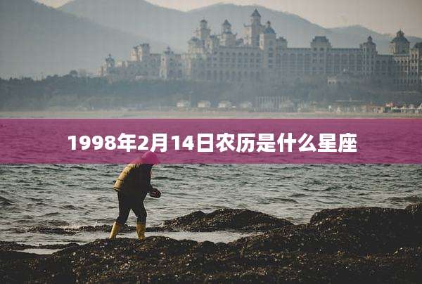 1998年2月14日农历是什么星座
