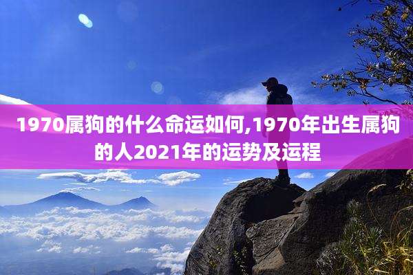 1970属狗的什么命运如何,1970年出生属狗的人2021年的运势及运程