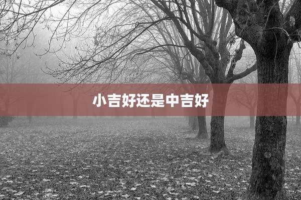 小吉好还是中吉好