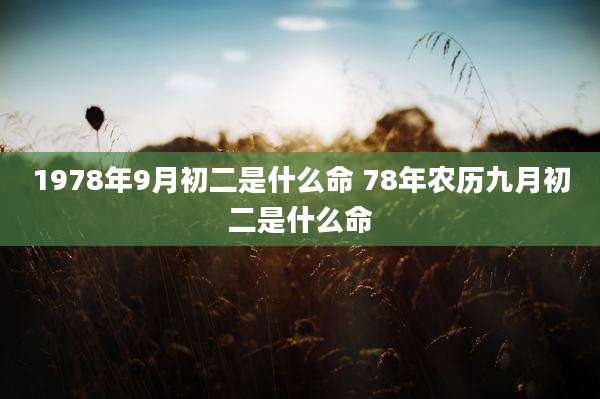 1978年9月初二是什么命 78年农历九月初二是什么命