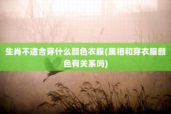 生肖不适合穿什么颜色衣服(属相和穿衣服颜色有关系吗)