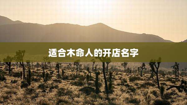 适合木命人的开店名字
