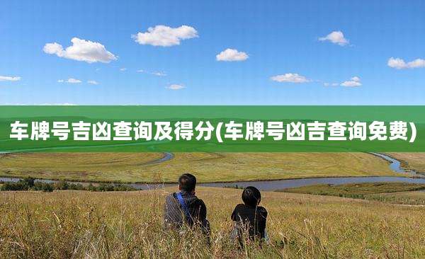 车牌号吉凶查询及得分(车牌号凶吉查询免费)