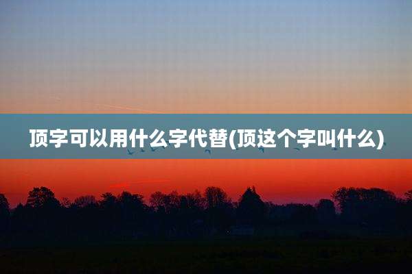顶字可以用什么字代替(顶这个字叫什么)