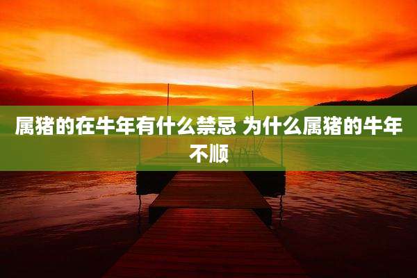 属猪的在牛年有什么禁忌 为什么属猪的牛年不顺