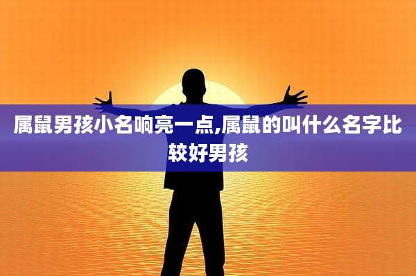 属鼠男孩小名响亮一点,属鼠的叫什么名字比较好男孩