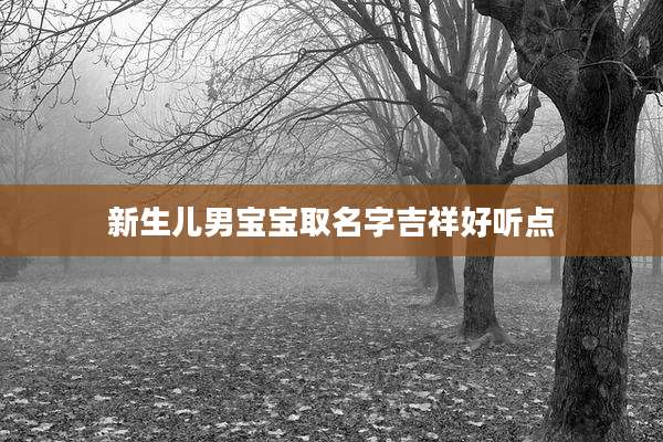 新生儿男宝宝取名字吉祥好听点
