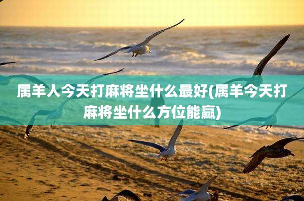 属羊人今天打麻将坐什么最好(属羊今天打麻将坐什么方位能赢)