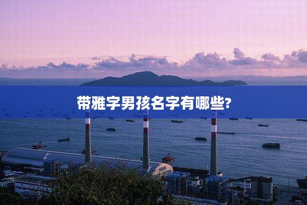 带雅字男孩名字有哪些?