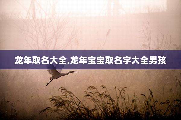 龙年取名大全,龙年宝宝取名字大全男孩