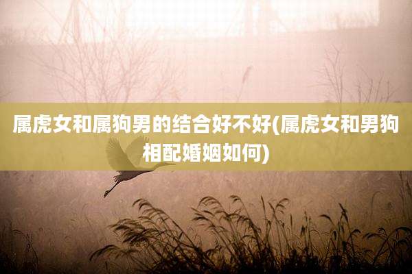属虎女和属狗男的结合好不好(属虎女和男狗相配婚姻如何)