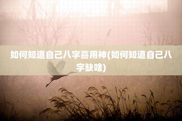 如何知道自己八字喜用神(如何知道自己八字缺啥)