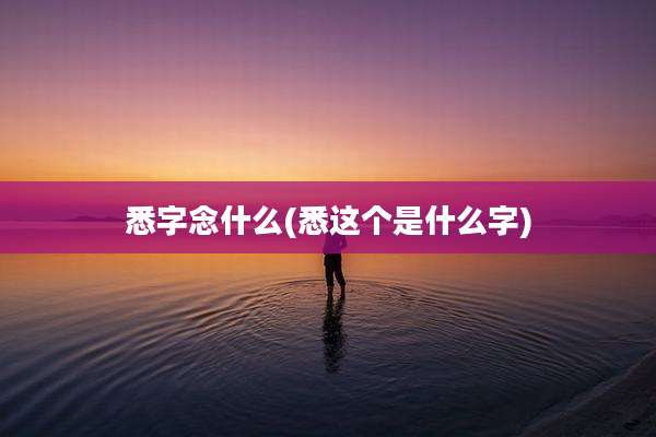 悉字念什么(悉这个是什么字)