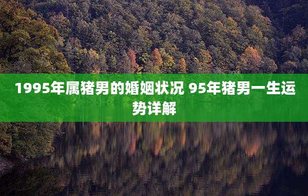 1995年属猪男的婚姻状况 95年猪男一生运势详解