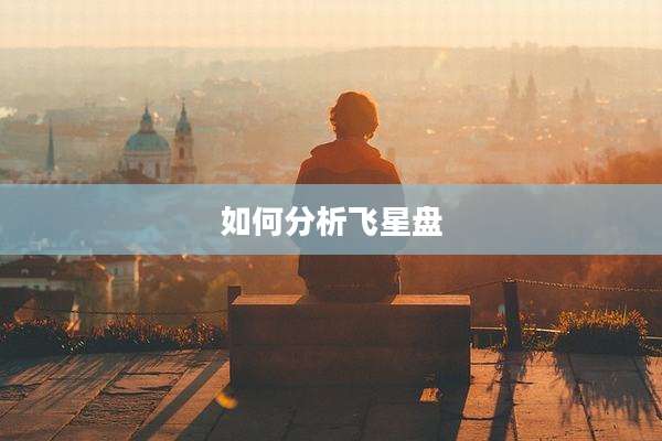 如何分析飞星盘