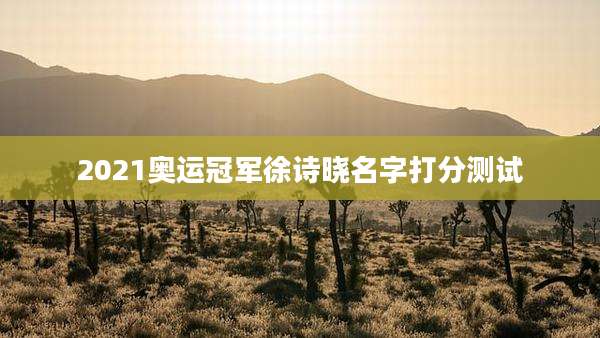 2021奥运冠军徐诗晓名字打分测试