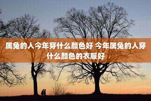 属兔的人今年穿什么颜色好 今年属兔的人穿什么颜色的衣服好
