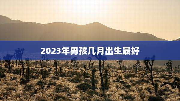2023年男孩几月出生最好