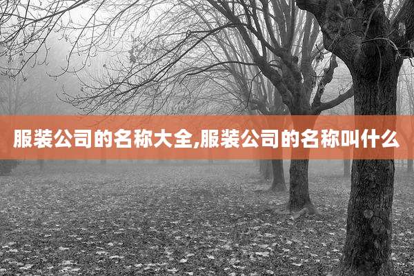 服装公司的名称大全,服装公司的名称叫什么