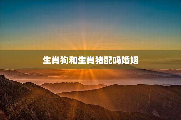 生肖狗和生肖猪配吗婚姻