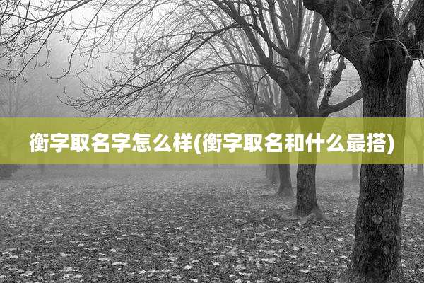 衡字取名字怎么样(衡字取名和什么最搭)