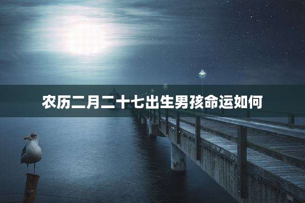 农历二月二十七出生男孩命运如何