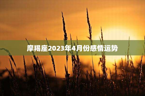 摩羯座2023年4月份感情运势