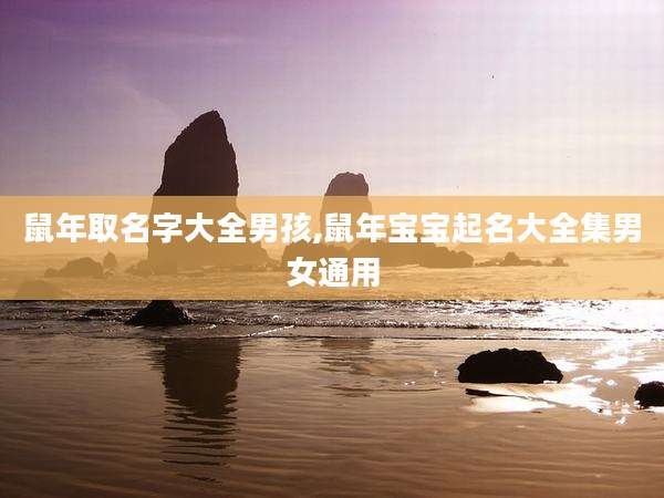 鼠年取名字大全男孩,鼠年宝宝起名大全集男女通用
